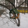 НАСТИНА КОРМУШКА НАСТИНА КОРМУШКА