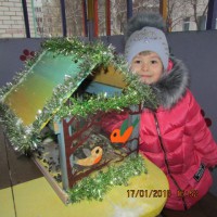 Новогодняя кормушка) Новогодняя кормушка)