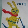 Сочи 2014 Сочи 2014