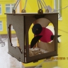Птичья столовая Птичья столовая