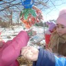 Кормушка из бросового материала Кормушка из бросового материала