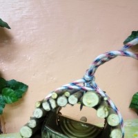 Кормушка для птиц Кормушка для птиц