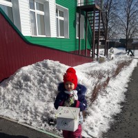 Птичья столовая Птичья столовая