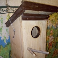 Скворечник для школьного двора Скворечник для школьного двора