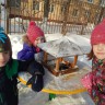 Кормим с детьми птичек Кормим с детьми птичек