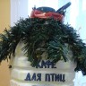 Кафе для птиц Кафе для птиц