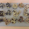 Печенюшки для пичужки Печенюшки для пичужки