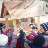 Пшенички для птички Пшенички для птички
