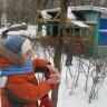 Кормушка для пичужки Кормушка для пичужки
