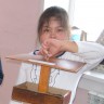 Кормушка для пичужки Кормушка для пичужки