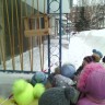 Покормите птиц зимой Покормите птиц зимой