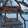 Кафе для птиц Кафе для птиц
