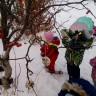 "Кормушка для пичужки" "Кормушка для пичужки"
