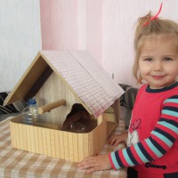 Наша кормушка для пичужки Наша кормушка для пичужки