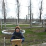 Кормушка для птиц Кормушка для птиц