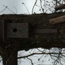 скворечник скворечник
