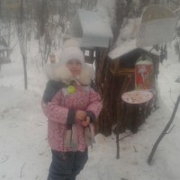 Птичья столовая Птичья столовая