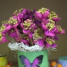 Подснежники Подснежники