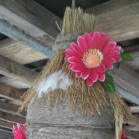 Птичья избушка Птичья избушка