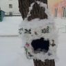 Приятного аппетита любимые птички Приятного аппетита любимые птички