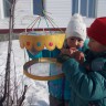 " Птицы-наши друзья" " Птицы-наши друзья"
