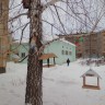 Птичья столовая Птичья столовая