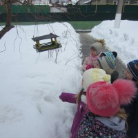 Кормушка для птиц Кормушка для птиц