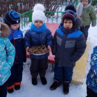Сладкое угощенье для птиц. Сладкое угощенье для птиц.