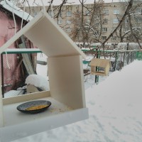 "Домик" "Домик"