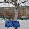 КОРМУШКА ДЛЯ ПЕРНАТЫХ КОРМУШКА ДЛЯ ПЕРНАТЫХ