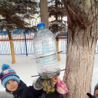 Кормушка для пичужки Кормушка для пичужки