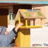 Лучшее для птичек! Лучшее для птичек!