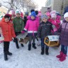 Кормушки для синичек Кормушки для синичек