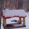 кормушка для пичужки №1 кормушка для пичужки №1