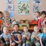 Кормушки Кормушки