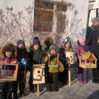 Кормушки для птиц Кормушки для птиц