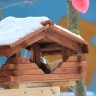 Кормушка для наших птиц Кормушка для наших птиц