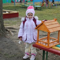 Птичкина столовая Птичкина столовая