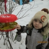 "Кормушка для наших пернатых друзей" "Кормушка для наших пернатых друзей"