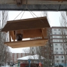 Угощайтесь! Угощайтесь!