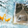 Кормушка для пичужки Кормушка для пичужки
