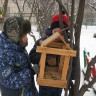 Обед для птиц Обед для птиц