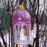 Кормушка для пичужкм Кормушка для пичужкм