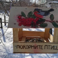 Покормите птиц Покормите птиц