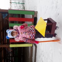 Столовая для птичек Столовая для птичек