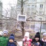 Домик для птиц Домик для птиц