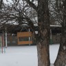 Кормушка для пичужки Кормушка для пичужки