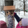 Трудно птицам зимовать-будем птицам помогать Трудно птицам зимовать-будем птицам помогать