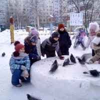 В гостях у пернатых друзей В гостях у пернатых друзей