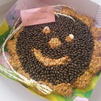 Безотходная кормушка Безотходная кормушка